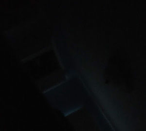 Meet your Posher, Dalton